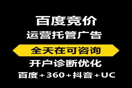 百度品牌专区推广：打造品牌形象的新途径